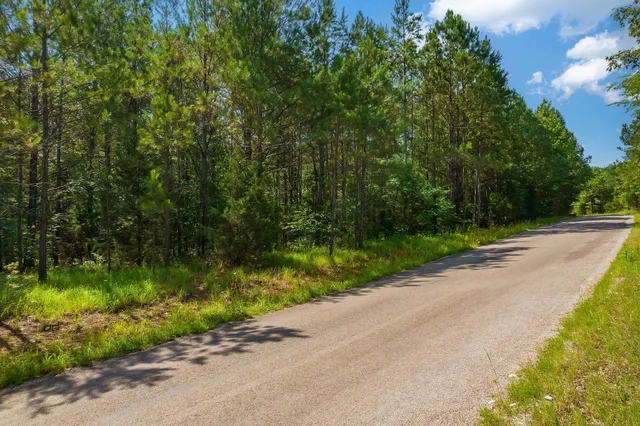 $67,000 | 0 Gay Thompson Road, Ramer, TN 38367