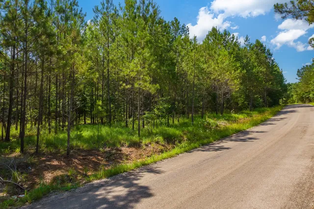 $67,000 | 0 Gay Thompson Road, Ramer, TN 38367