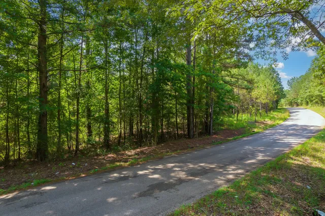 $67,000 | 0 Gay Thompson Road, Ramer, TN 38367