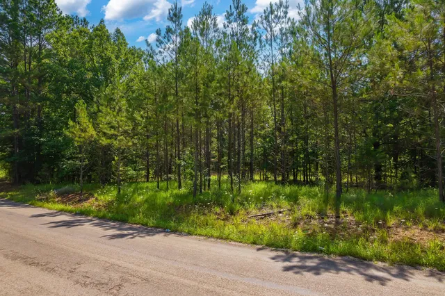 $67,000 | 0 Gay Thompson Road, Ramer, TN 38367