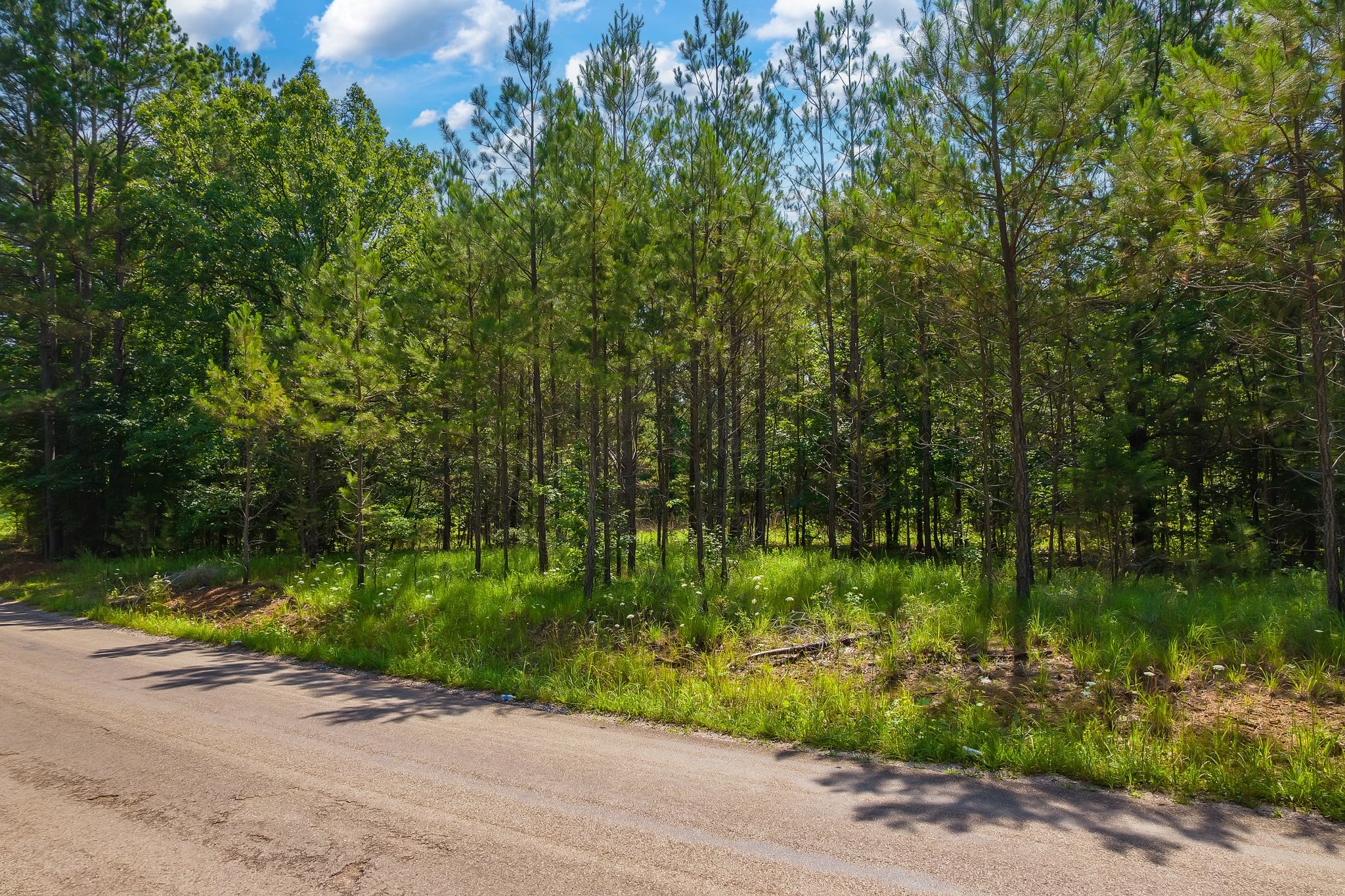 0 Gay Thompson Road Ramer, TN 38367 - Photo 7 of 26 Gallery Image 7