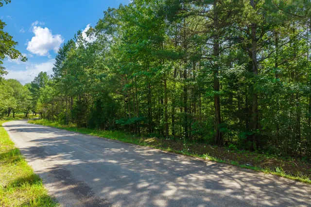 $67,000 | 0 Gay Thompson Road, Ramer, TN 38367