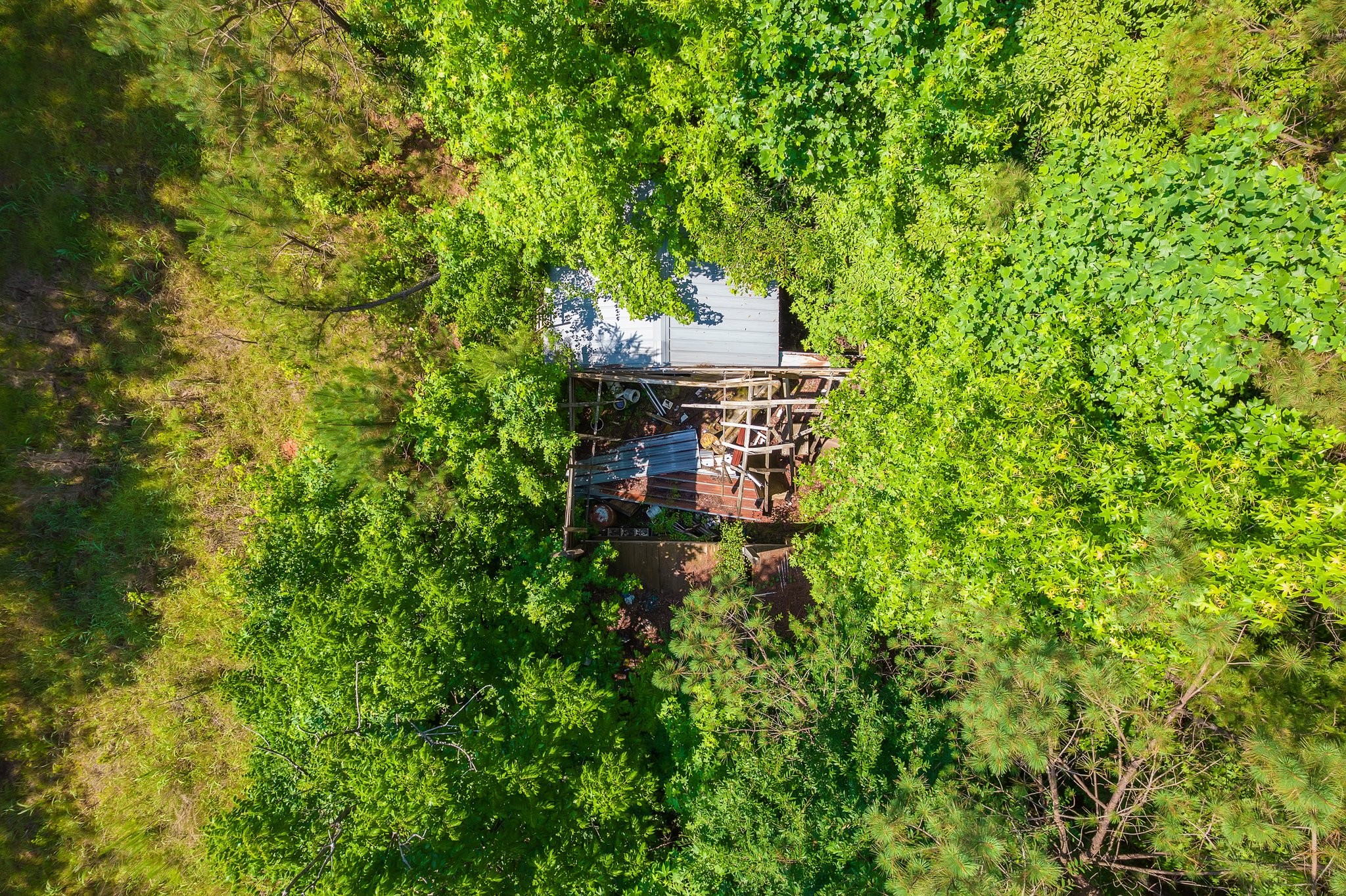 0 Gay Thompson Road Ramer, TN 38367 - Photo 9 of 26 Gallery Image 9
