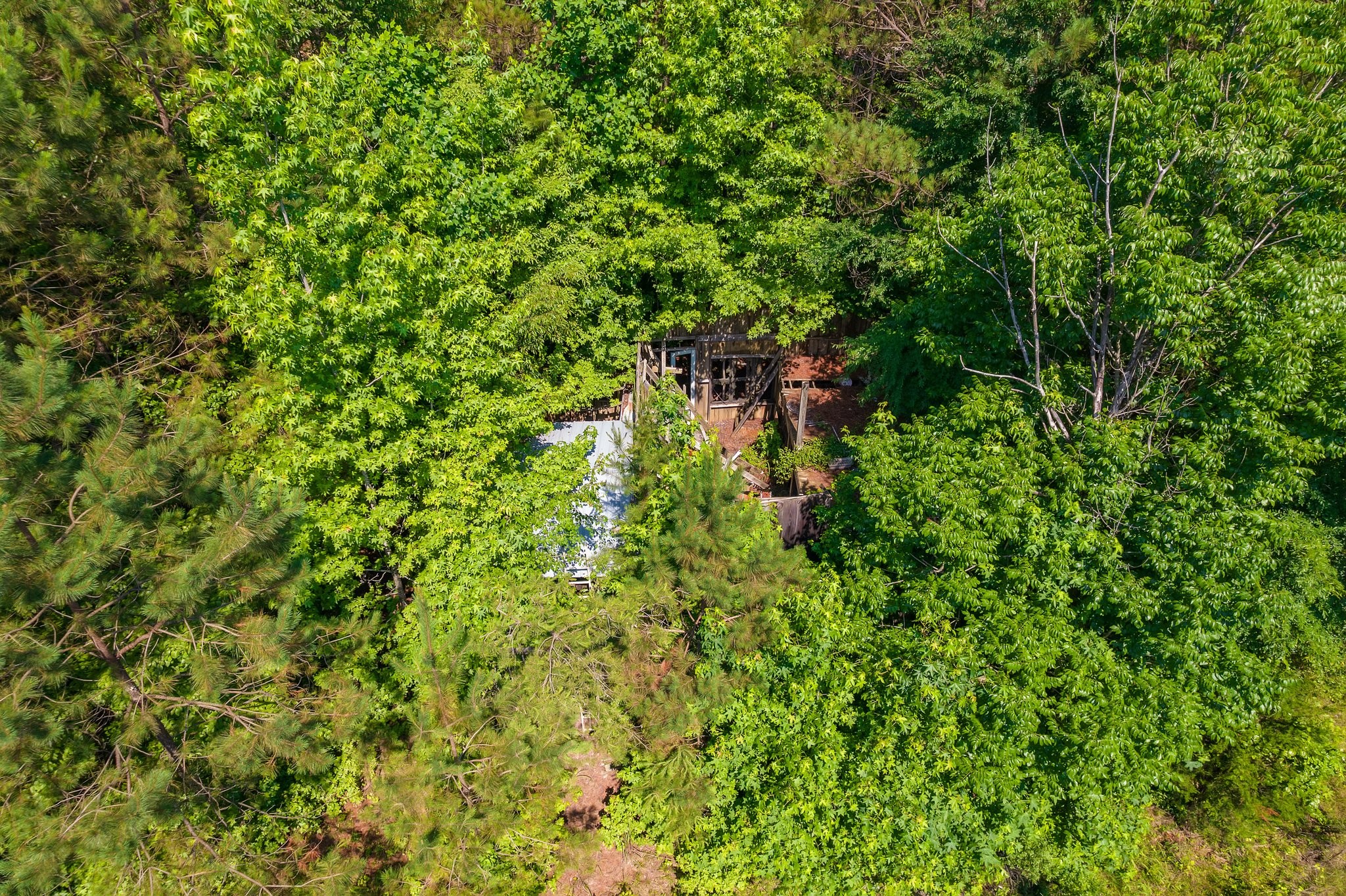 0 Gay Thompson Road Ramer, TN 38367 - Photo 10 of 26 Gallery Image 10