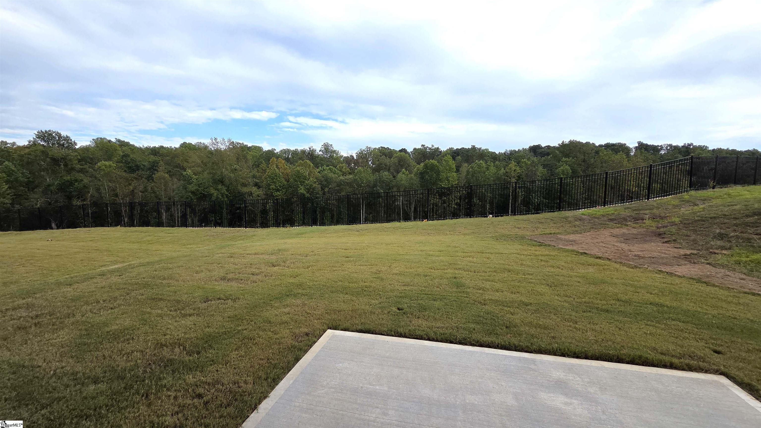 1130 Berry Patch Drive Lyman, SC 29365 - Photo 29 of 44