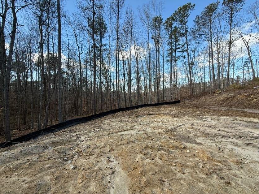 342 Dandy Road Dallas, GA 30132 - Photo 4 of 35 a view of a backyard of the house