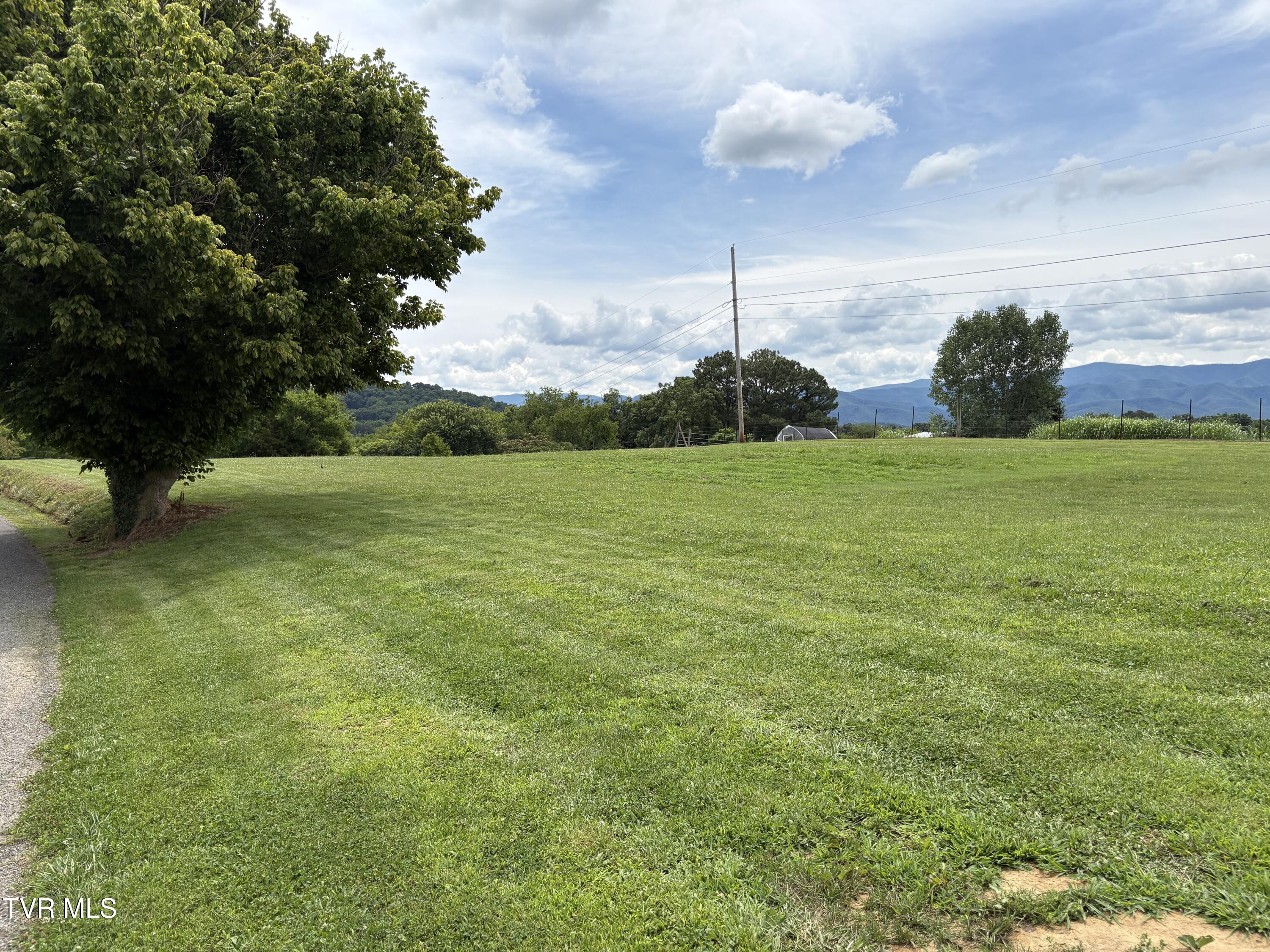 0 Stockton Road, Unit LOT3 Chuckey, TN 37641 - Photo 6 of 14 IMG_8591