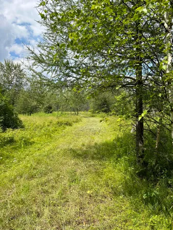 $62,000 | Lt45 Big Cub Trail, Laona, WI 54541