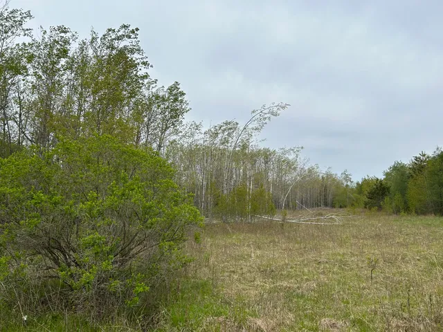 $62,000 | Lt45 Big Cub Trail, Laona, WI 54541