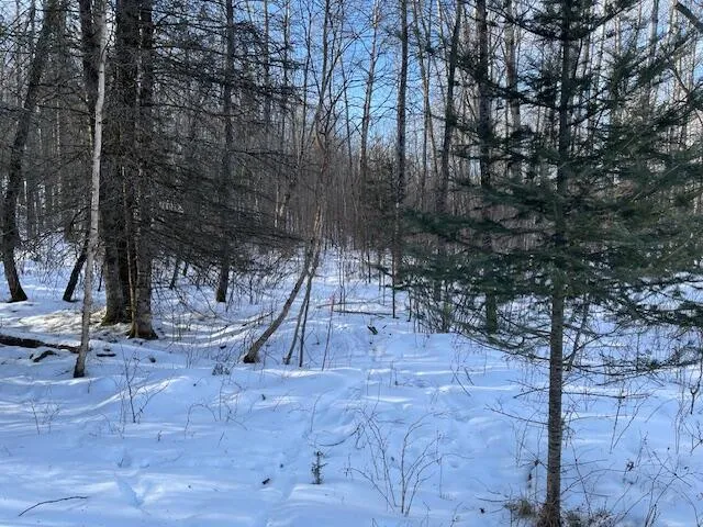 $67,000 | Lt44 Big Cub Trail, Laona, WI 54541