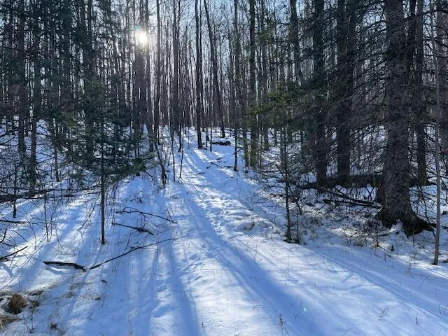 $67,000 | Lt44 Big Cub Trail, Laona, WI 54541