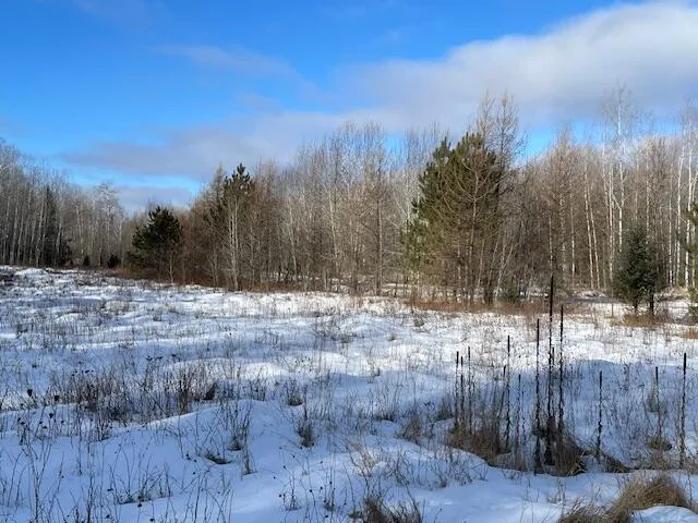$62,000 | Lt45 Big Cub Trail, Laona, WI 54541