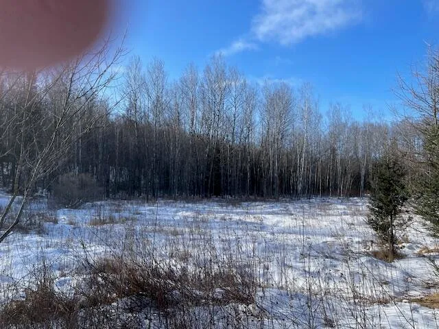 $62,000 | Lt45 Big Cub Trail, Laona, WI 54541