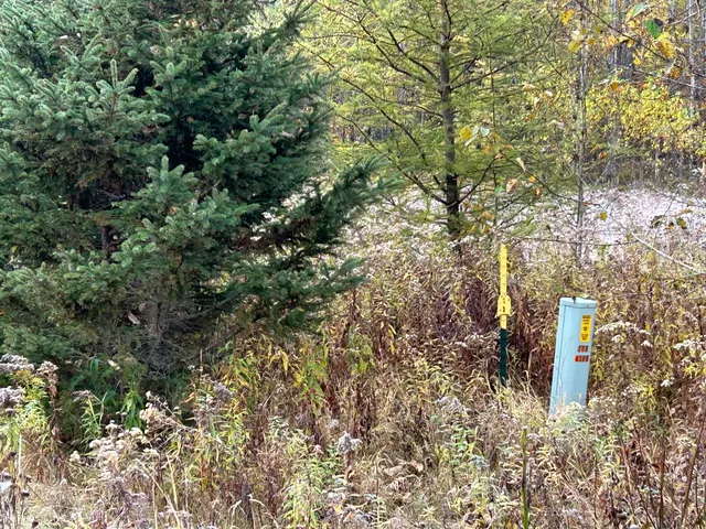 $62,000 | Lt45 Big Cub Trail, Laona, WI 54541