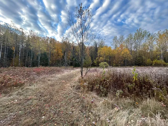 $62,000 | Lt45 Big Cub Trail, Laona, WI 54541