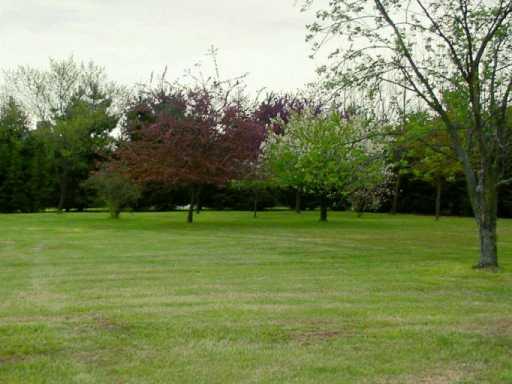 239 Beacon Light Road Renfrew, PA 16053 - Photo 2 of 6