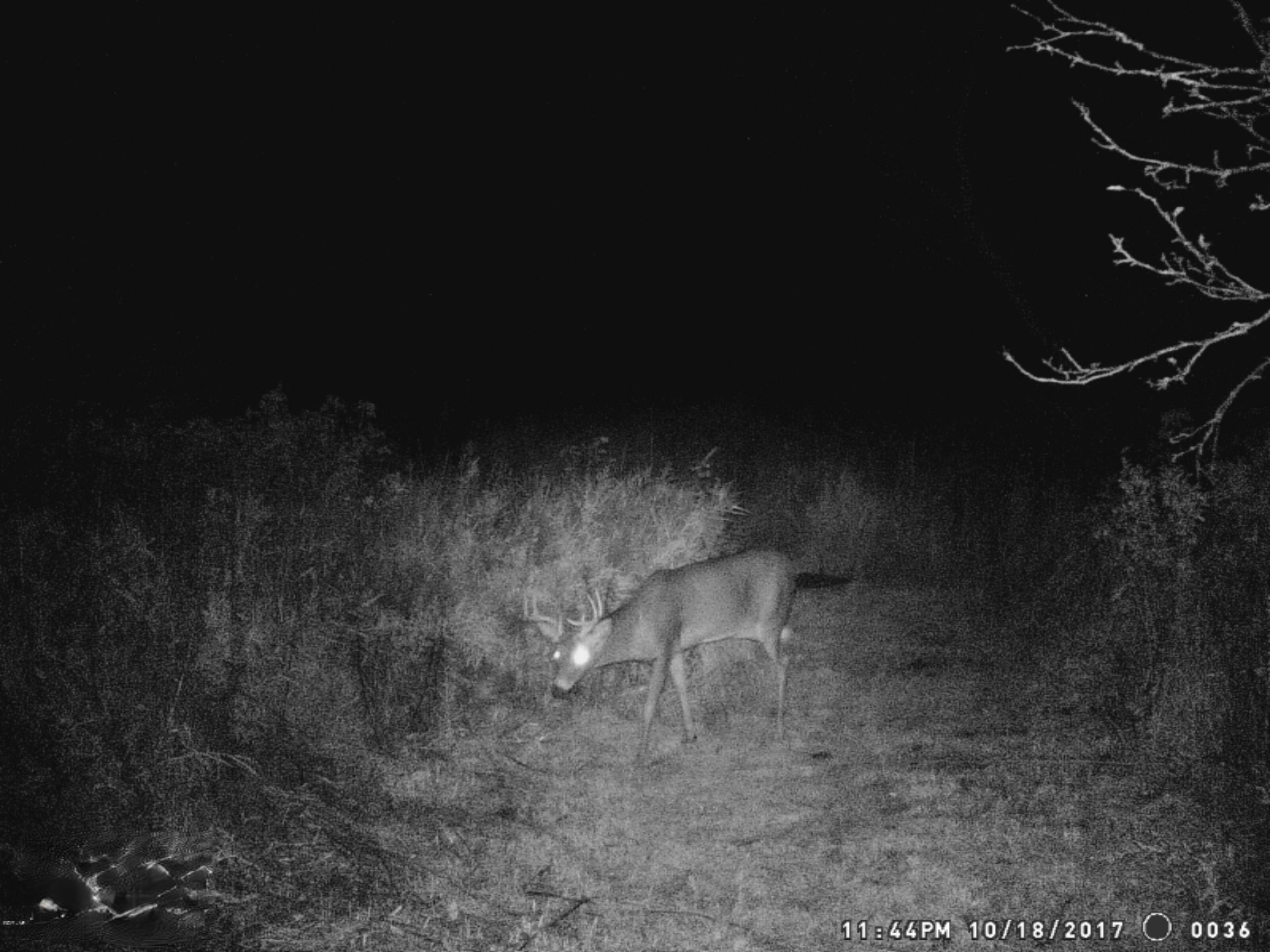 7123 East Pakes Road Crystal, MI 48818 - Photo 54 of 62 WGI_0036