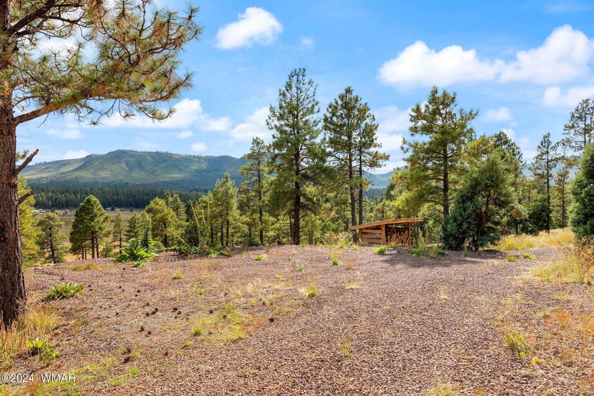 63 2330 Alpine, AZ 85920 - Photo 33 of 40 63CR2330-Alpine-AZ-31