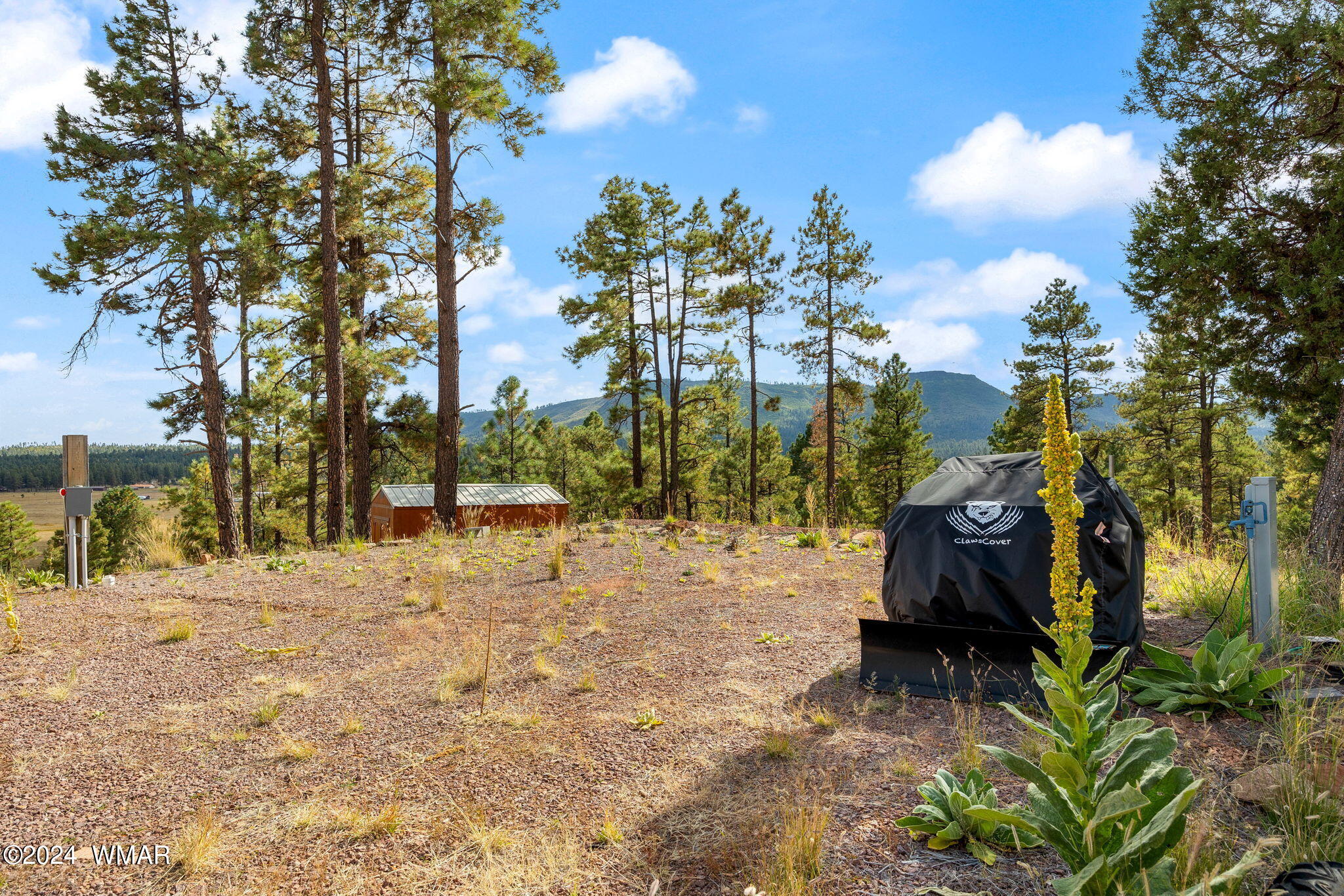 63 2330 Alpine, AZ 85920 - Photo 35 of 40 63CR2330-Alpine-AZ-33