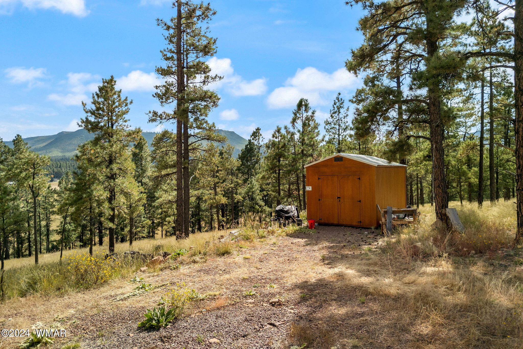 63 2330 Alpine, AZ 85920 - Photo 36 of 40 63CR2330-Alpine-AZ-34