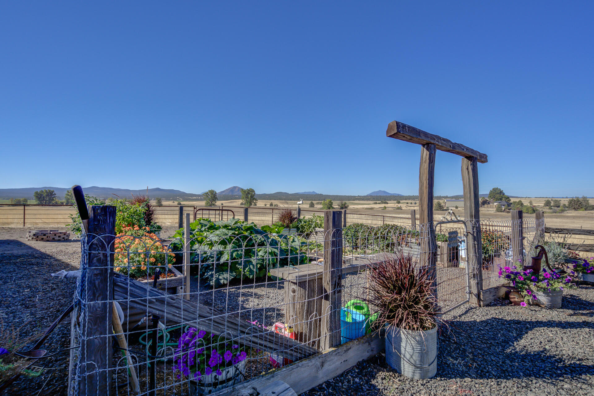 541-105 Pittville Road McArthur, CA 96056 - Photo 82 of 87 541-105PittvilleRdStills-63