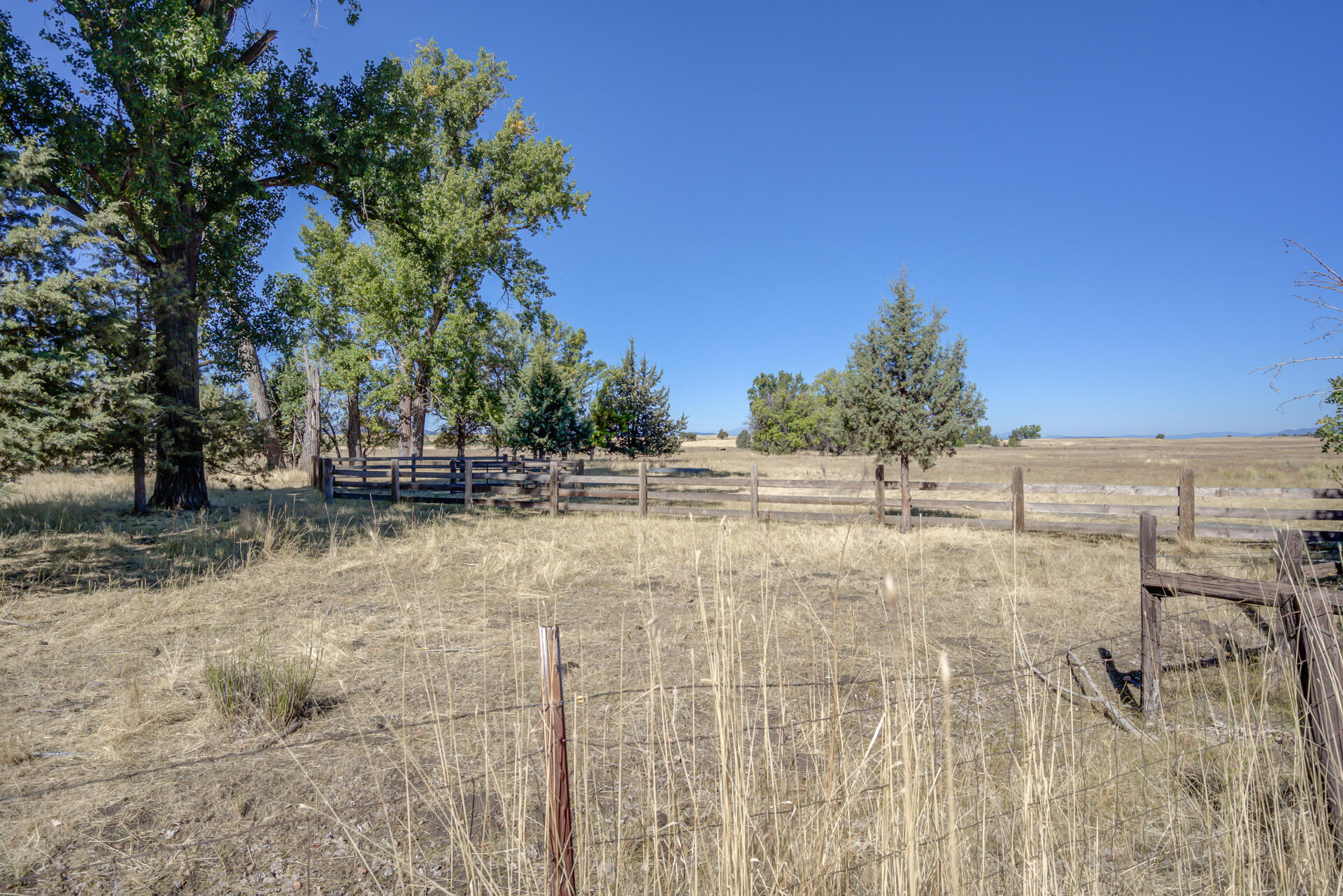 541-105 Pittville Road McArthur, CA 96056 - Photo 83 of 87 541-105PittvilleRdStills-90