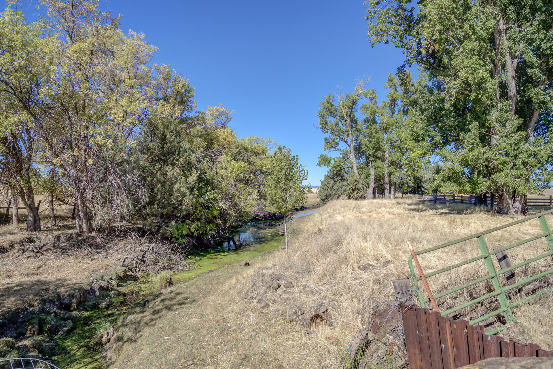 541-105 Pittville Road McArthur, CA 96056 - Photo 84 of 87 a view of a yard with plants and trees