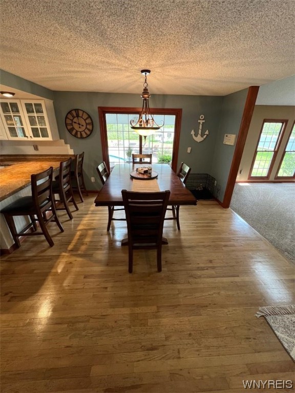 5520 William Street Lancaster, NY 14086 - Photo 24 of 50