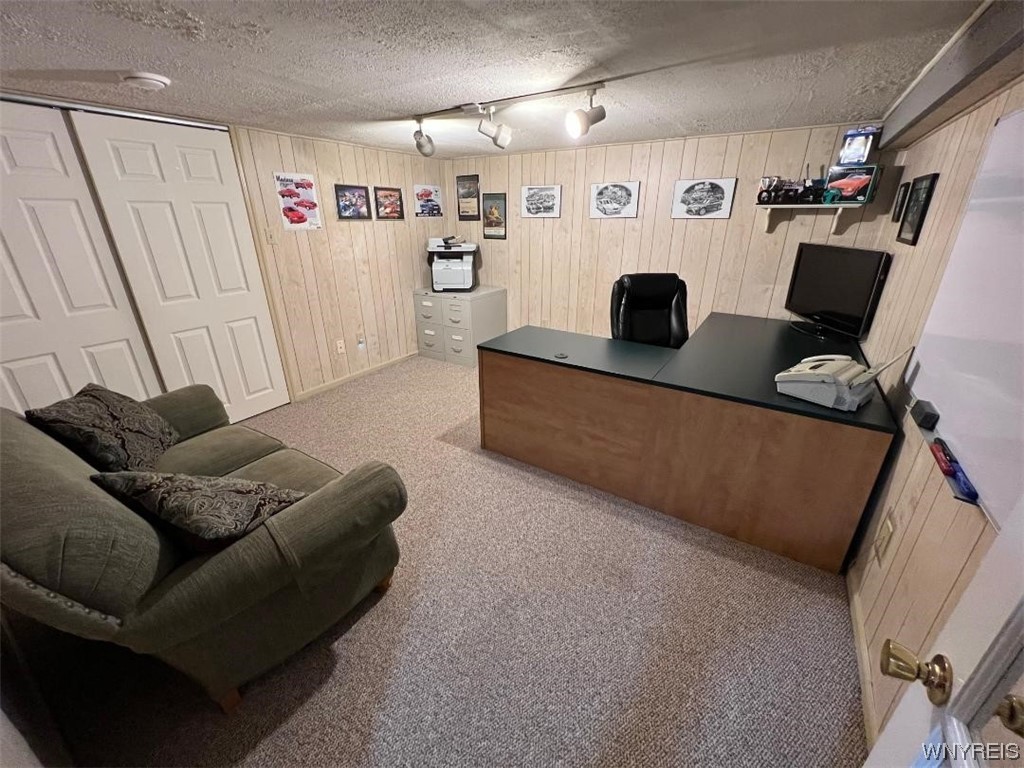 5520 William Street Lancaster, NY 14086 - Photo 43 of 50