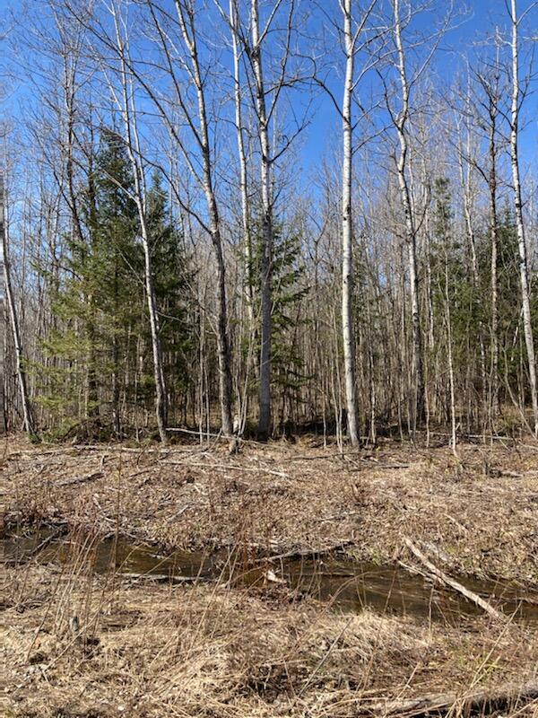 0 Everleigh Road Pickford, MI 49774 - Photo 19 of 25 Gallery Image 19