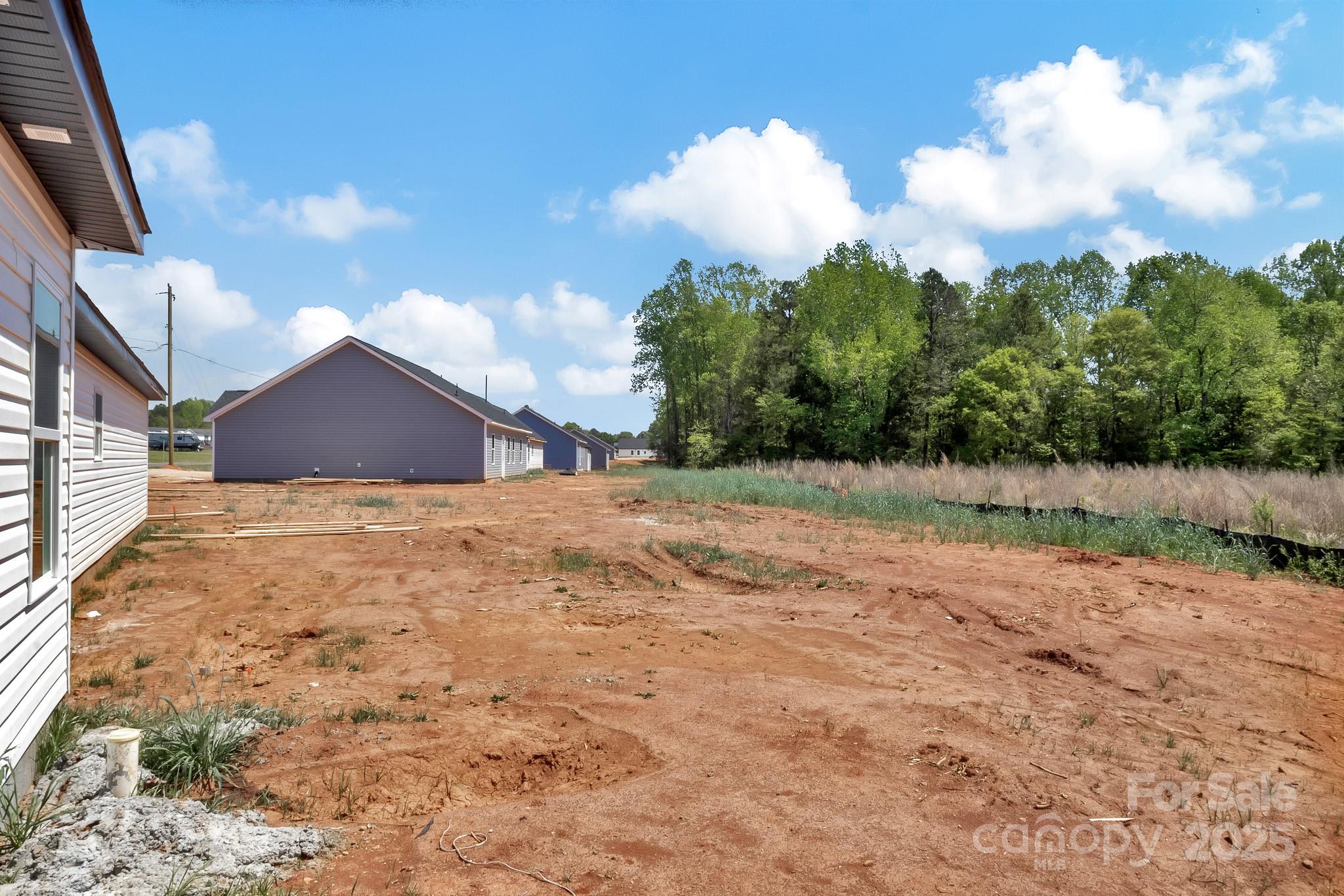 6259 Long Branch Road Salisbury, NC 28147 - Photo 34 of 48 a view of backyard of house