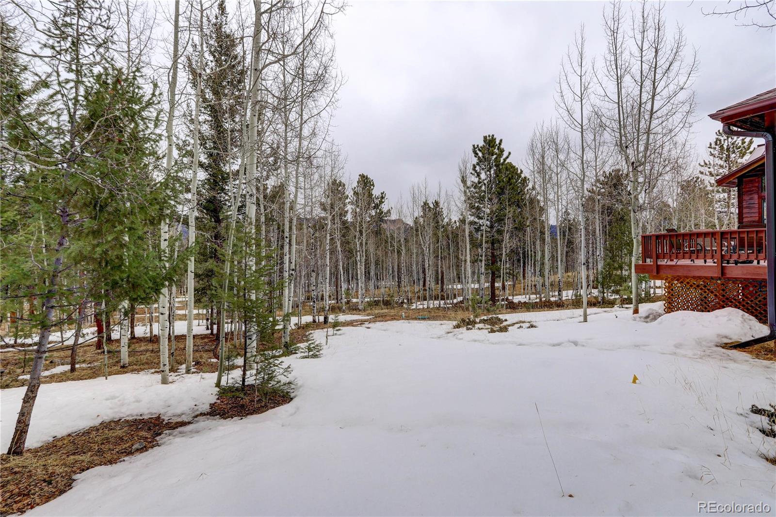 105 Desperado Road Bailey, CO 80421 - Photo 38 of 40