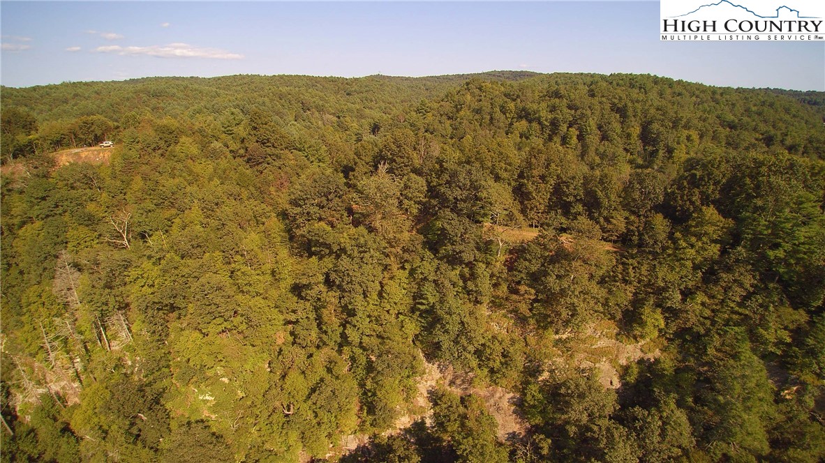 Fries Road Galax, VA 24333 - Photo 4 of 24 Gallery Image 4