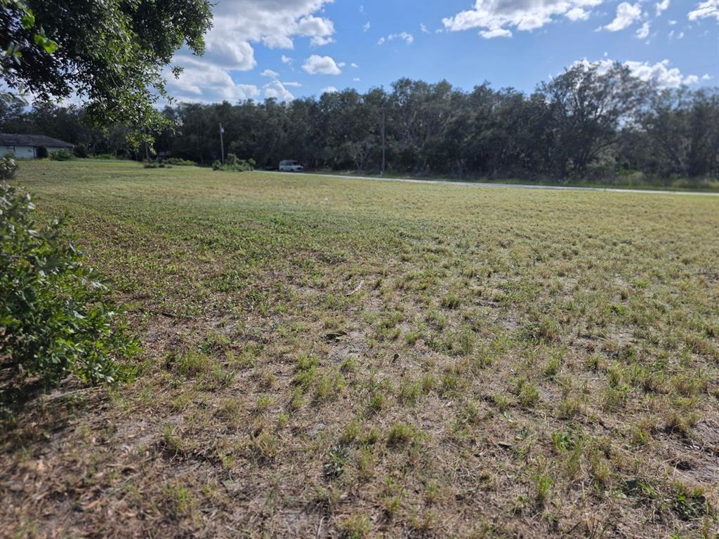 500 North Barrie Road Avon Park, FL 33825 - Photo 3 of 8 Gallery Image 3