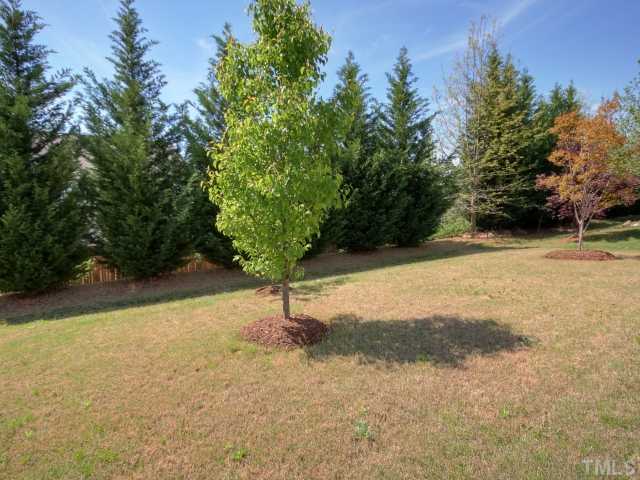 7409 Lagrange Drive Raleigh, NC 27613 - Photo 19 of 25 a view of a yard with trees
