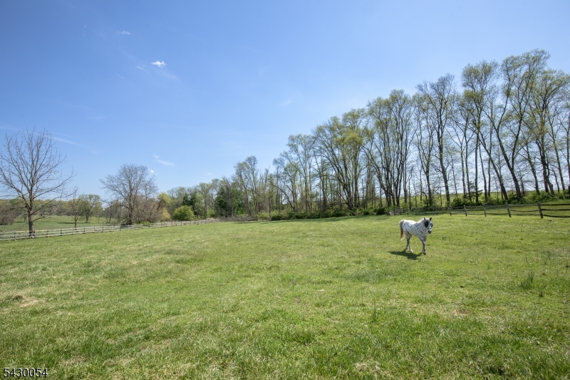 77 Homestead Road Califon, NJ 07830 - Photo 25 of 49