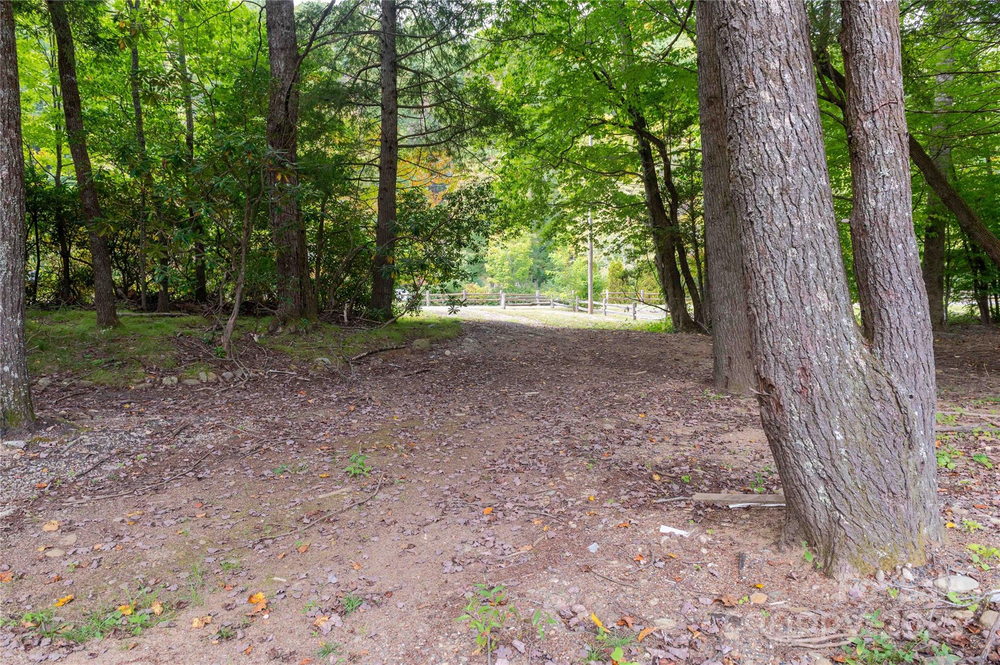 188 Sweetwater Ridge Green Mountain, NC 28740 - Photo 11 of 30 a view of a yard with lots of trees