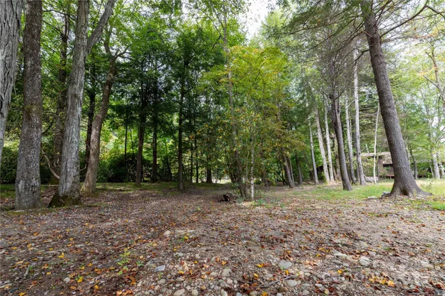 a view of outdoor space with trees
