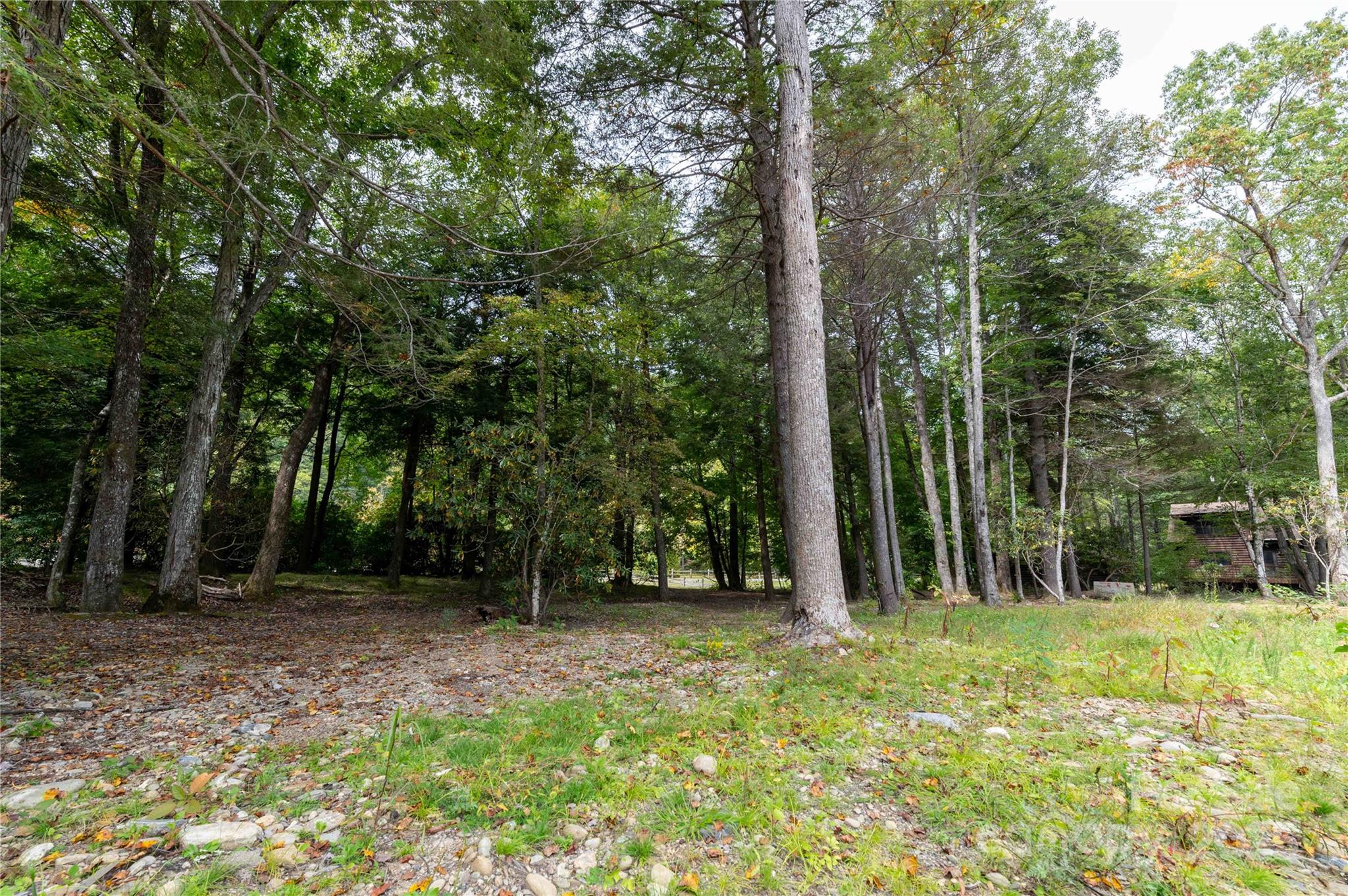 188 Sweetwater Ridge Green Mountain, NC 28740 - Photo 14 of 30 a view of outdoor space with deck and tree