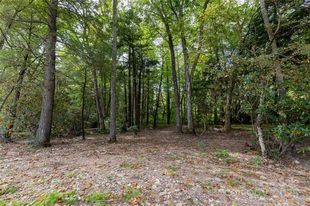 a view of outdoor space with trees