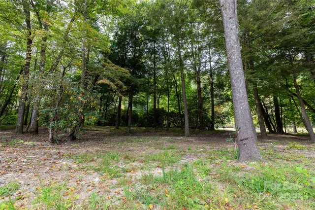 a view of outdoor space with trees