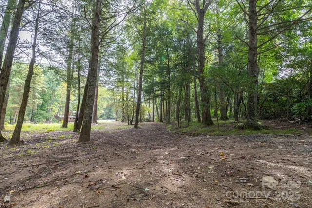 a view of outdoor space and trees