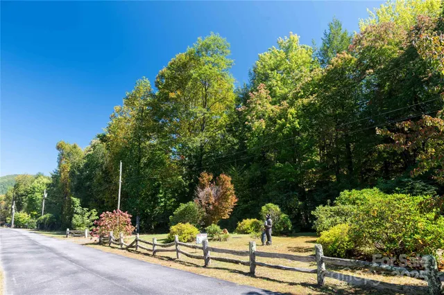 a park view with table and chairs and potted plants