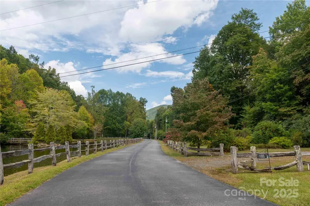 a view of a city with flower plants