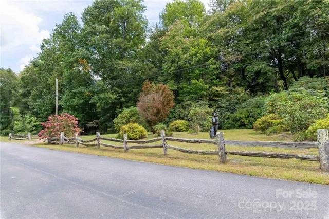 a view of backyard with large tree