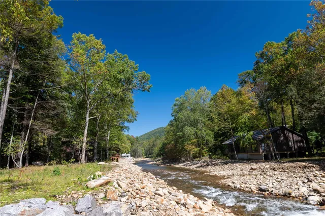 a view of a tree with a yard