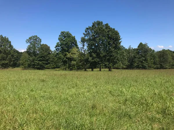 $164,900 | 1 Lake George Drive, Unit 1, Dunlap, TN 37327