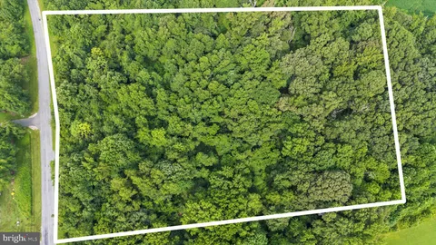 a view of a forest from a window