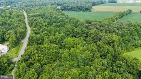 a view of a lush green space next to a yard