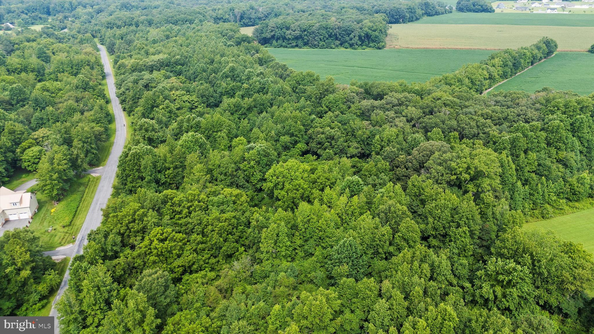 Burnt Mill Road Ridgely, MD 21660 - Photo 3 of 8 a view of a lush green space next to a yard